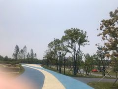 -南汇新城城市公园