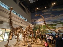 -自贡恐龙博物馆