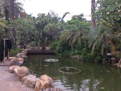 -厦门日月谷温泉渡假村