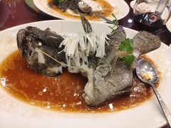 老虎斑-益健名厨海鲜城(夏湾店)