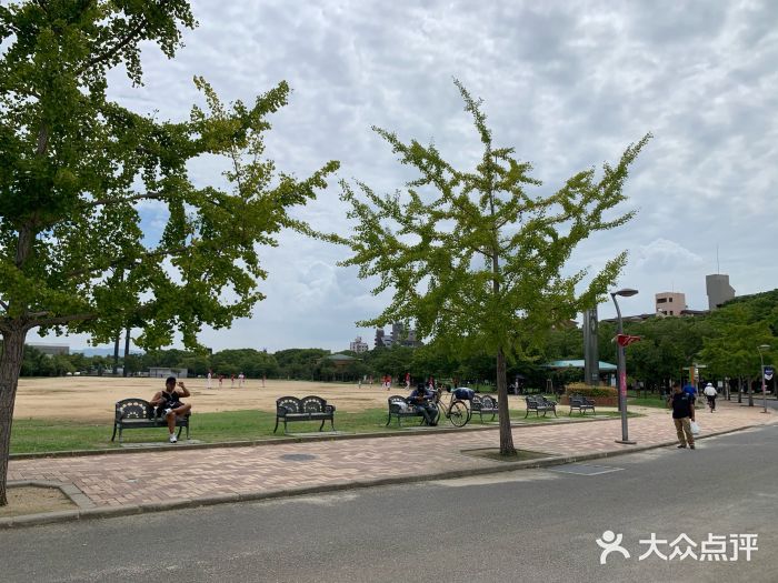 大阪市立自然史博物馆图片