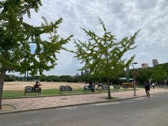 -大阪市立自然史博物馆