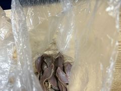 -杨震卤菜旗舰店