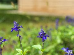 -汉长安城未央宫国家考古遗址公园