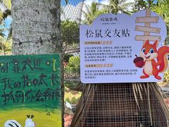 -石梅湾艾美度假酒店