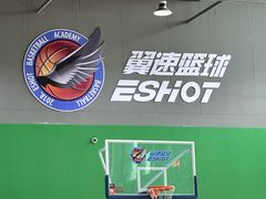 -翼速篮球·少儿篮球培训·中考体育(贵和店·原鲁能城店)