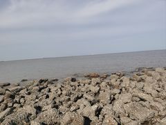 -天津东疆湾沙滩景区