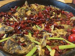 -老板恋上鱼(恒隆广场店)