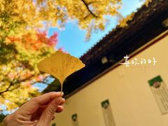 -西园寺
