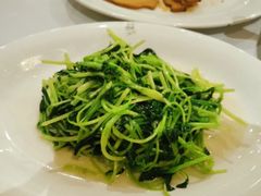 清炒鸡毛菜-苏浙汇(朝外店)