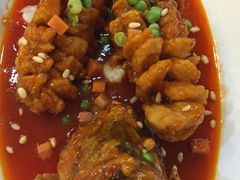 -兴圆苑