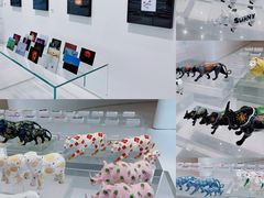 -罗红摄影艺术馆