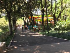 -晓港公园