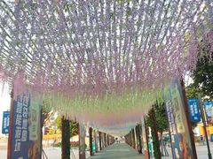 -厦门方特梦幻王国