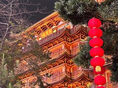 -大佛寺高级素食自助餐厅