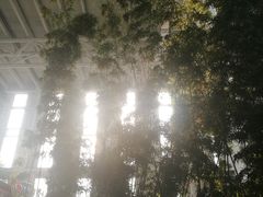 -中家鑫园温泉酒店鑫悦汤泉