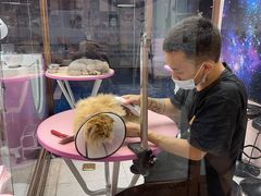 -FAELING PETS美天灵宠物(富力广场店)