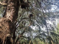 -北海金海湾红树林生态旅游区