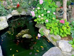 -谷咖啡·鲜花绿植花园餐厅