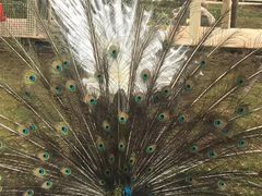 -云南艺术学院(呈贡校区)