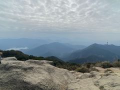 -梧桐山风景名胜区