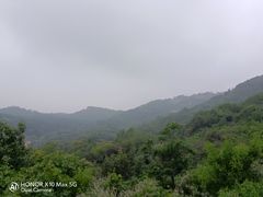 -北京西山国家森林公园