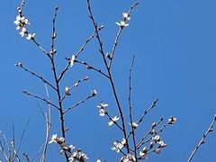 -马武寨驴打滚宴美食村289号(十三陵)