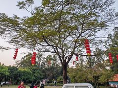 -南沙天后宫景区