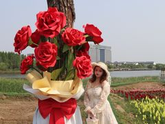 -杭州湾海上花田景区