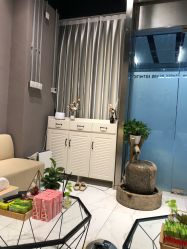 -三只熊皮肤管理中心