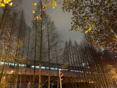 -苗姑酒堂(仁义社区店)