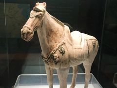 -衢州市博物馆