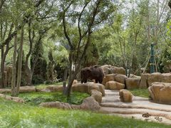 -北京野生动物园