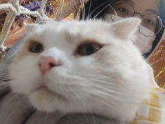 -藏猫猫咖啡主题馆(中央大道店)