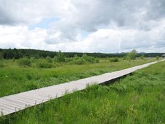 -塞罕坝国家级自然保护区