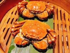 成隆行精选大闸蟹-成隆行·蟹王府(九江路店)