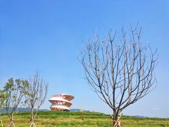 -光明小镇欢乐田园