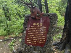 -香炉山国家森林公园