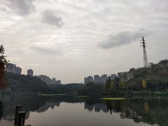 -重庆彩云湖湿地公园