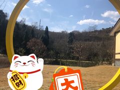 -五凤溪古镇