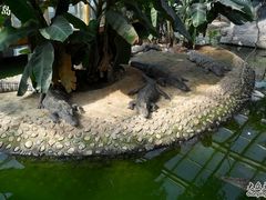 -石家庄市动物园