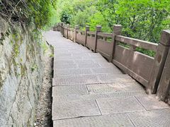 -杭州半山国家森林公园