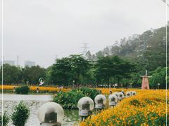 -顺峰山公园