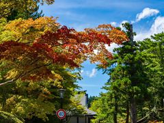 -成都濑川外国语学校