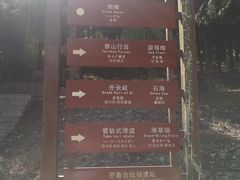 -原山国家森林公园