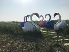-洪湖湿地生态园