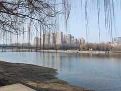 -沙澧河风景区