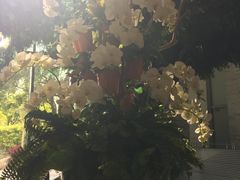 -上海虹桥西郊假日酒店