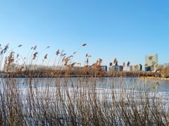 -大兴滨河森林公园