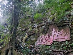 -青城山